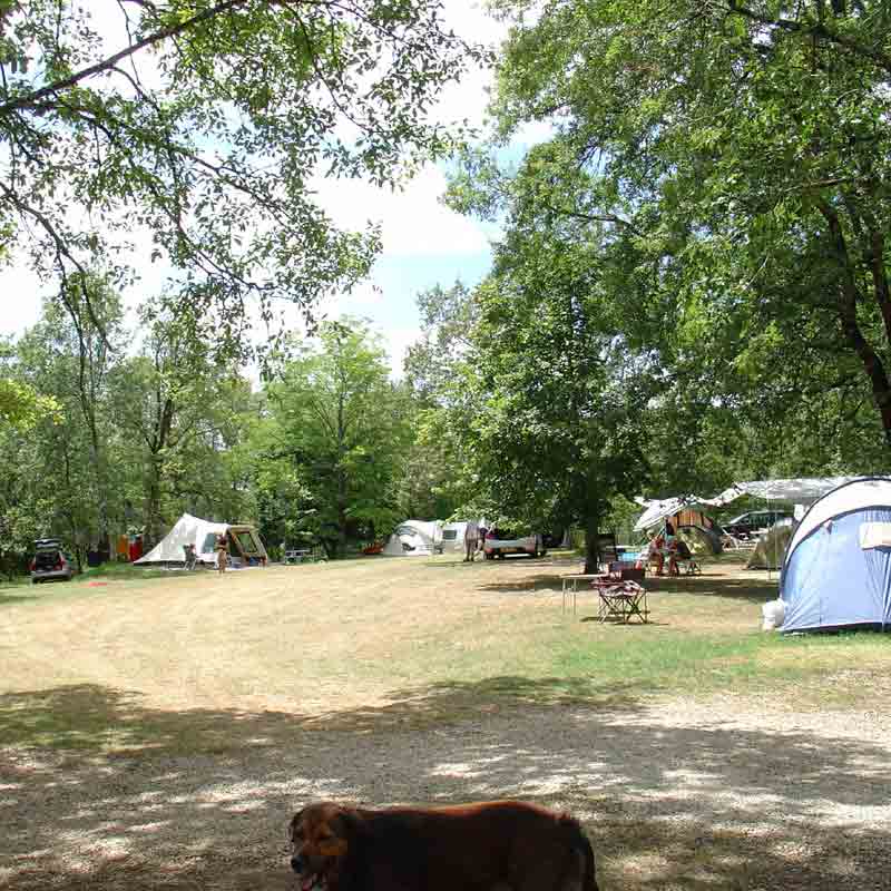 camping8